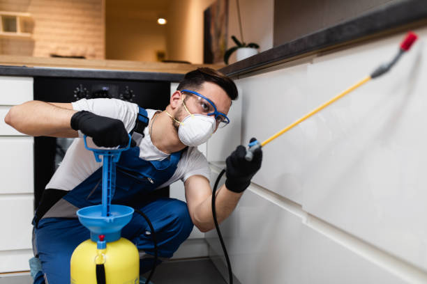 Best Flea Control Services  in Towanda, PA
