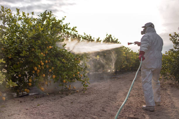 Best Commercial Pest Control Services  in Towanda, PA